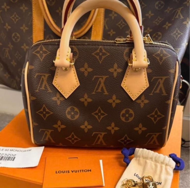 Louis Vuitton Speedy 20 monogram bag