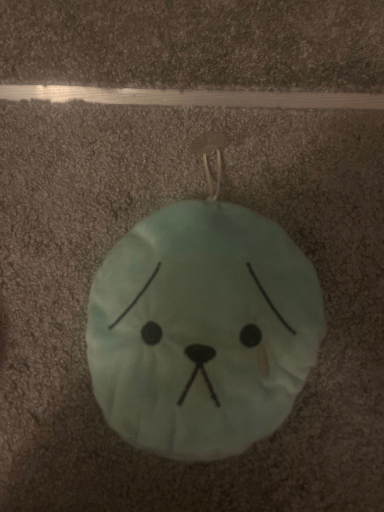 Window teddy