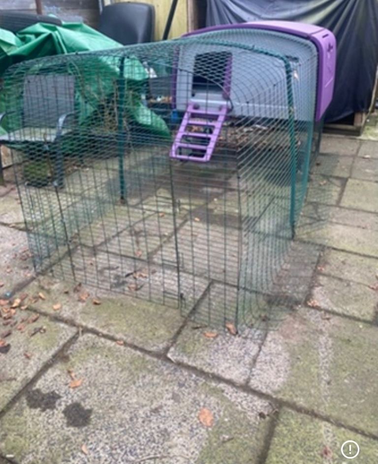 Omlet Eglu cube chicken coop