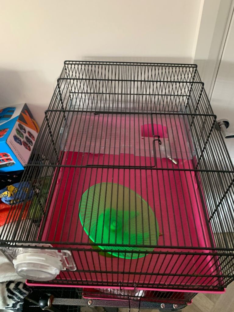 Mouse cage 