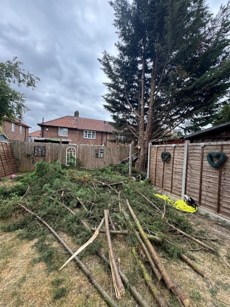 🌲 Tree Surgeon 🪵 Stump Removed ♻️ Waste Clearance 