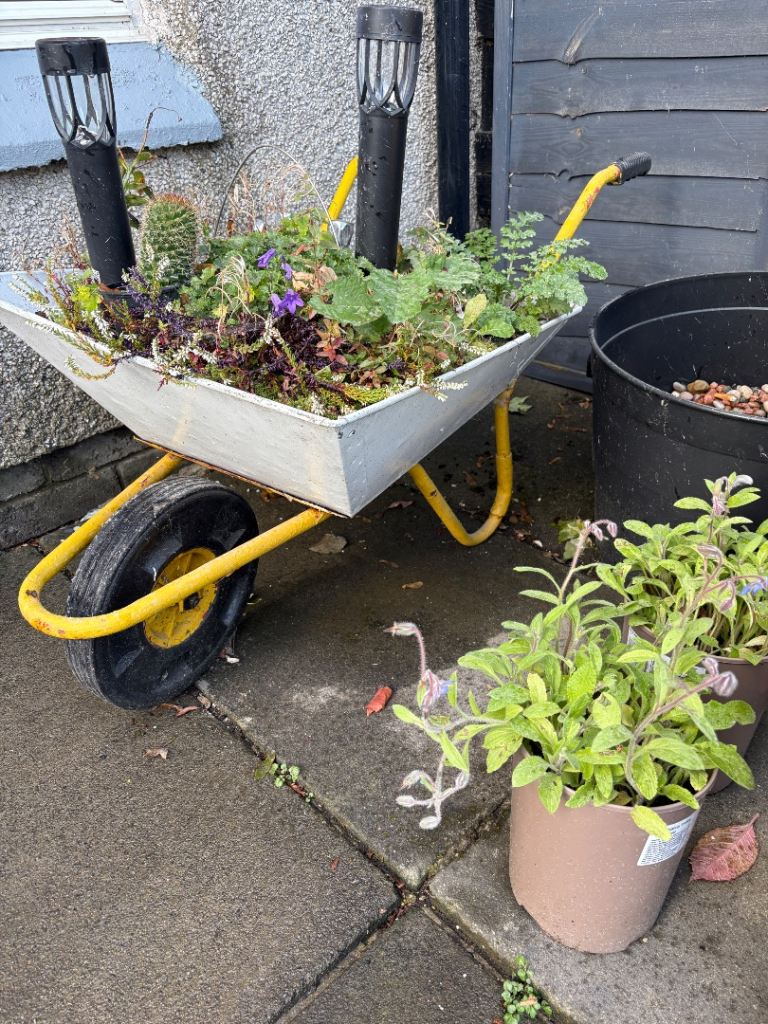 Free Garden wheelbarrows 