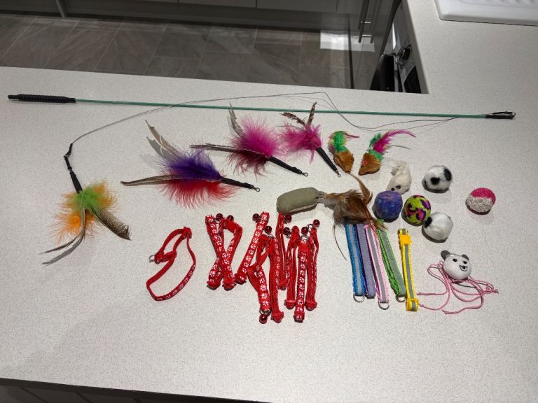 Da bird cat wand toy 3 refills toys and collars