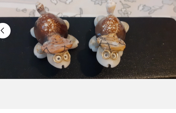 seashell turtles