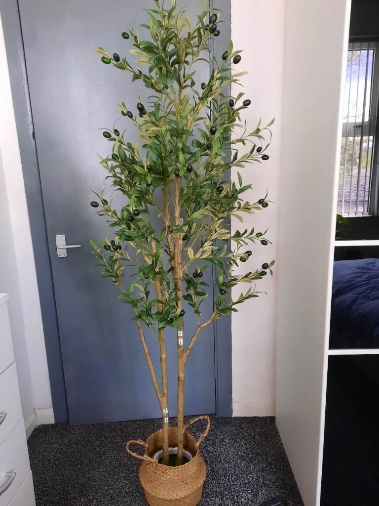 180cm Brand new artificial Olive tree with new basket. 