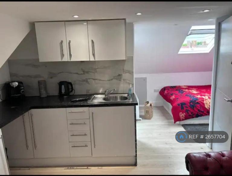 Studio flat in Canterbury Road, London, E10 (#2657704)
