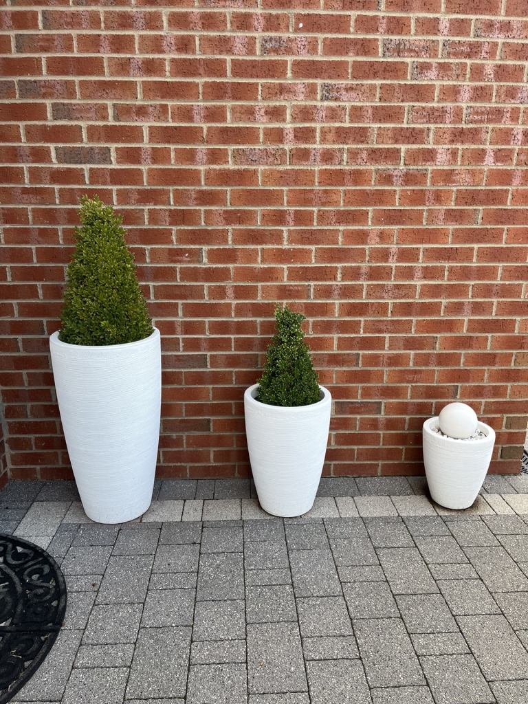 Set of 3 planter topiary tree set