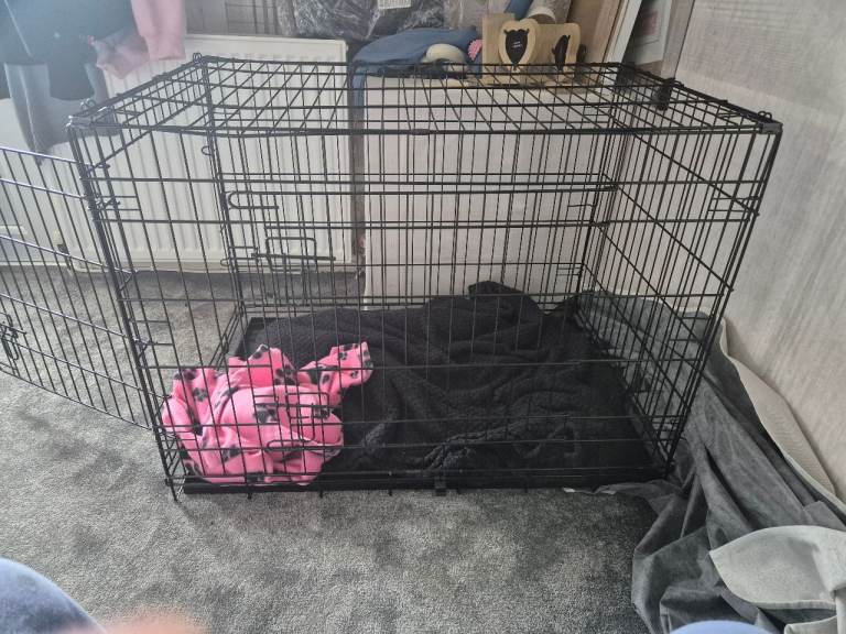 Just like new x large cage and bed 
