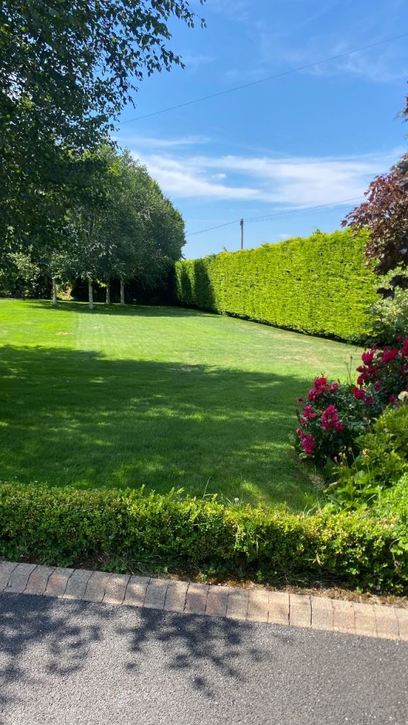 Hedge cutting and trimming - available now 