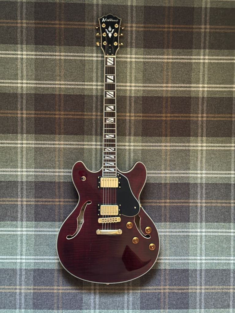 Washburn HB35S with soft carry case