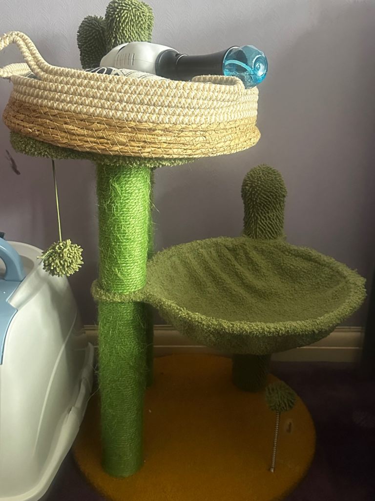 kitten tree house 