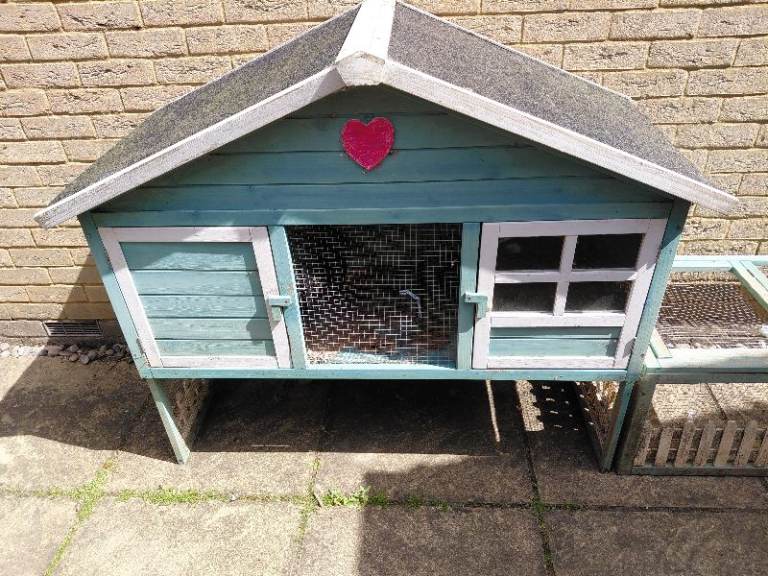 Guinea pig hutch