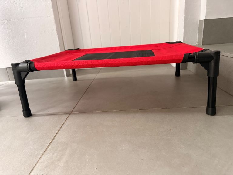Raised dog bed