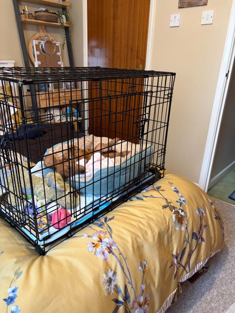 Small dog crate for sale