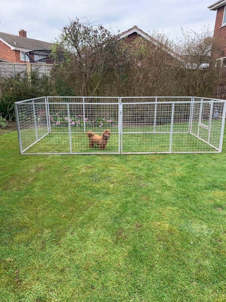 Dog pen/run
