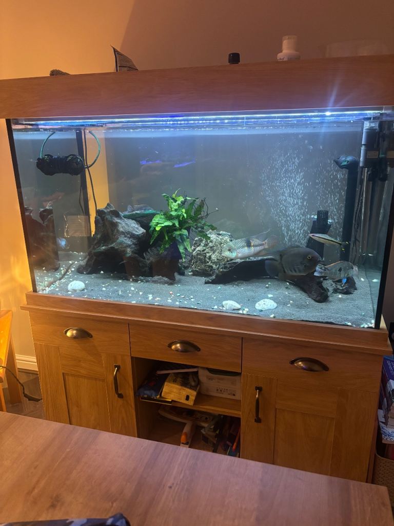 350 litre fish tank 