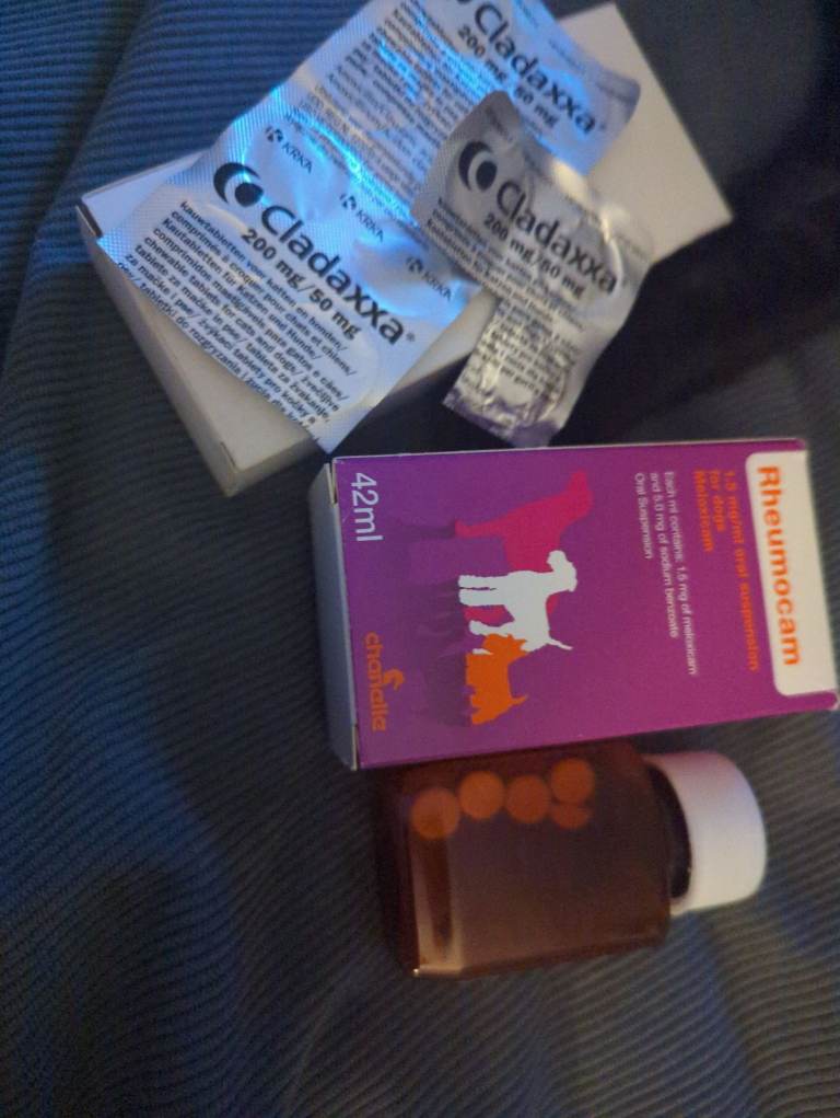 image for Pet medication 5 days worth