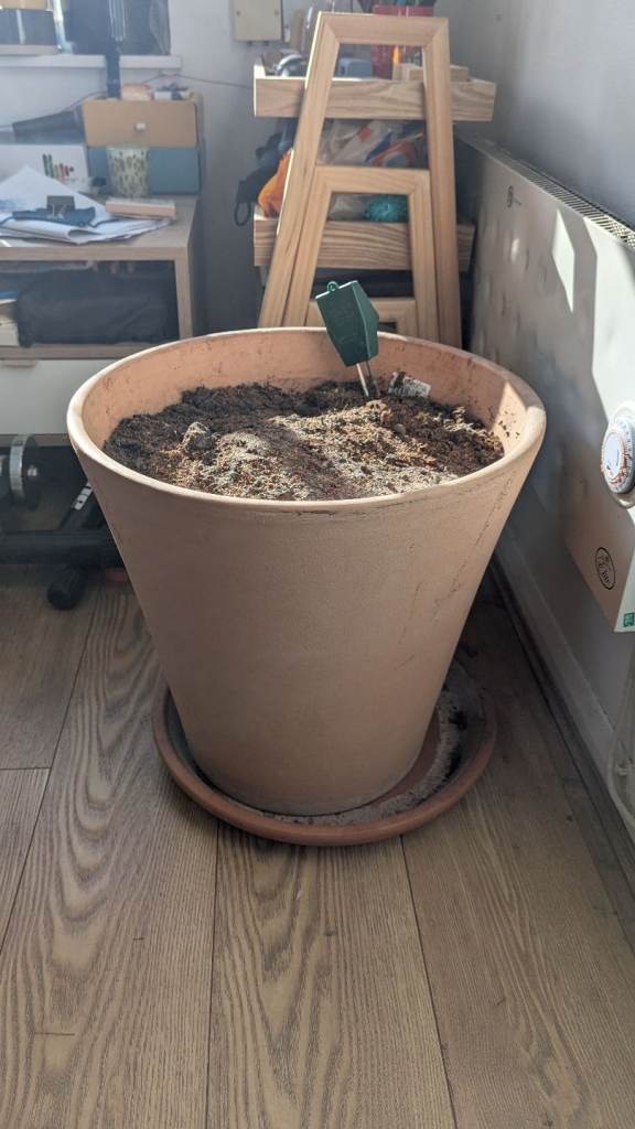 Large Terracotta Pot + Tray