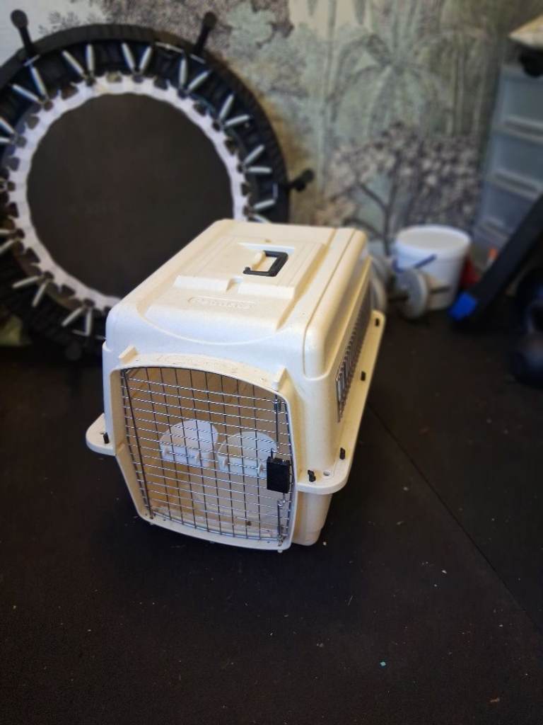Medium dog crate 