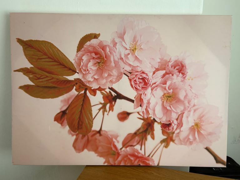 Large flower canvas £5