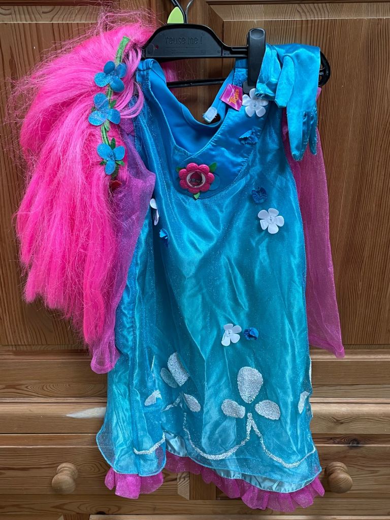 Trolls ‘Poppy’ costume