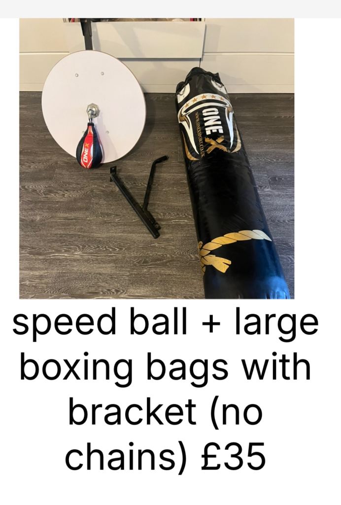 speed ball + large boxing bags with bracket (no chains) £35