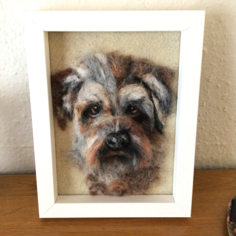 Border terrier picture