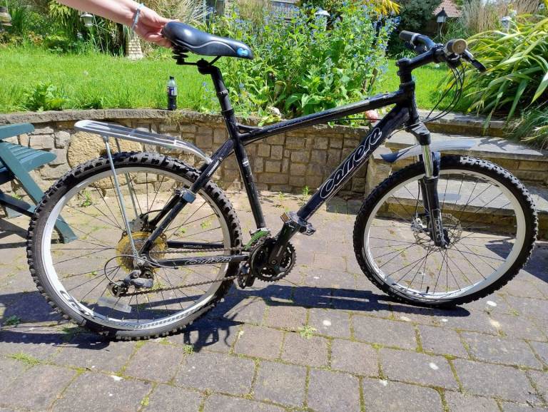 Carrera Men's Mountain Bike 