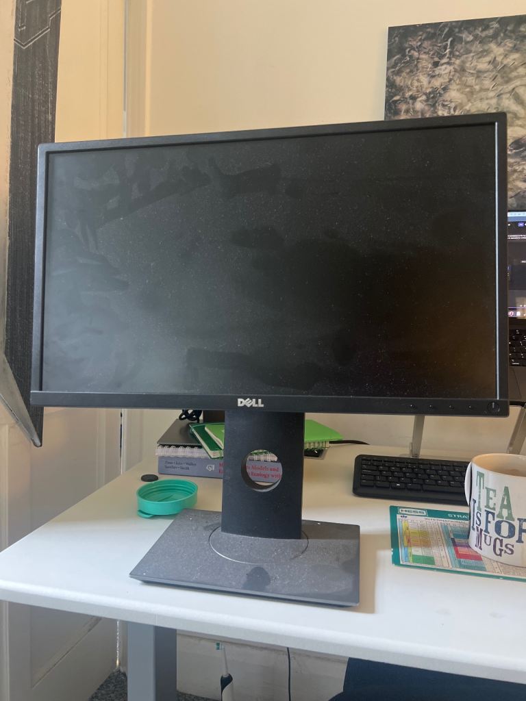 Dell P2217 Monitor (22inches)