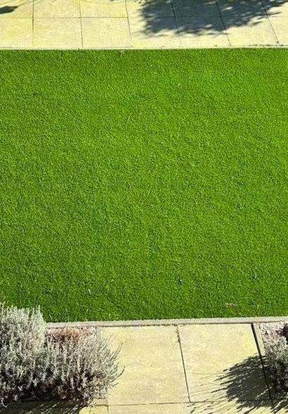 Grass Artificial Roll Premium | for Astro Sale Turf 40mm