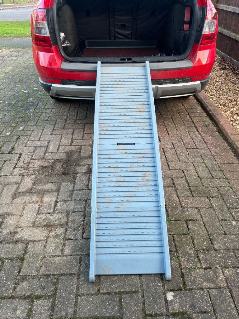 Doggie Ramp for Car