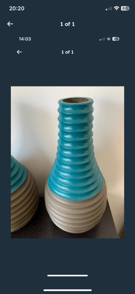 X2 beautiful vase decor. 