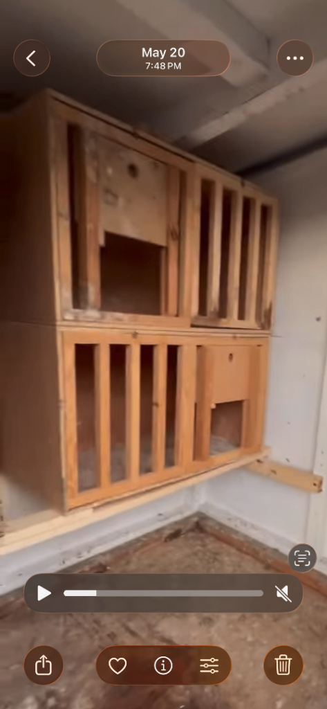 Pigeon nest boxes feeders and v perches 