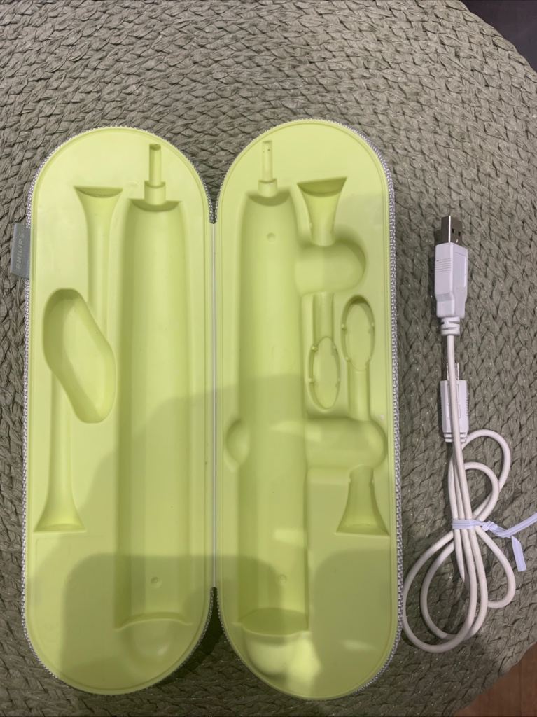 New Philips Electric Toothbrush Travel Charging Case HX9210
