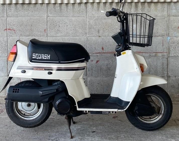 1981 JDM Honda Squash 50 super cutie