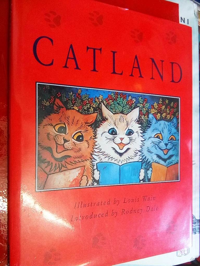 CATLAND LOUIS WAIN LARGE ILLUSTRATED BOOK 1995 FIRST EDITION