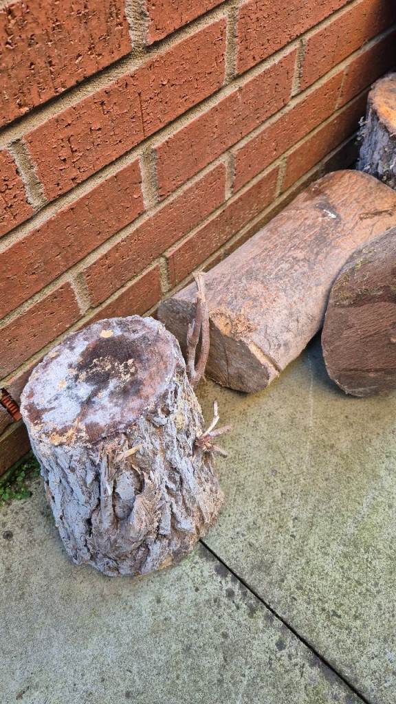 **Now collected** Wood / logs (Free) | in Broxburn, West Lothian | Gumtree