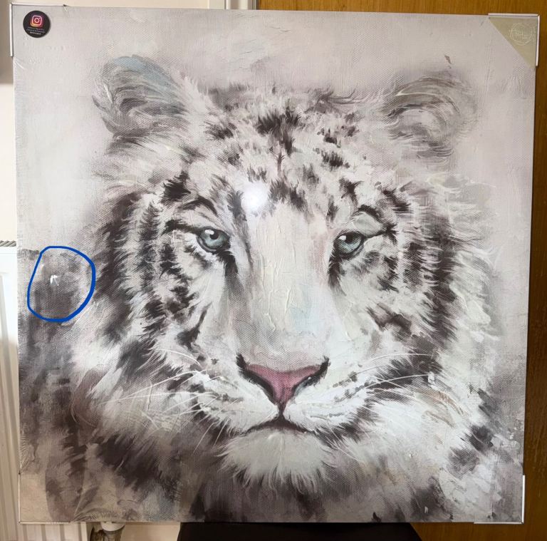 Large White Tiger Canvas