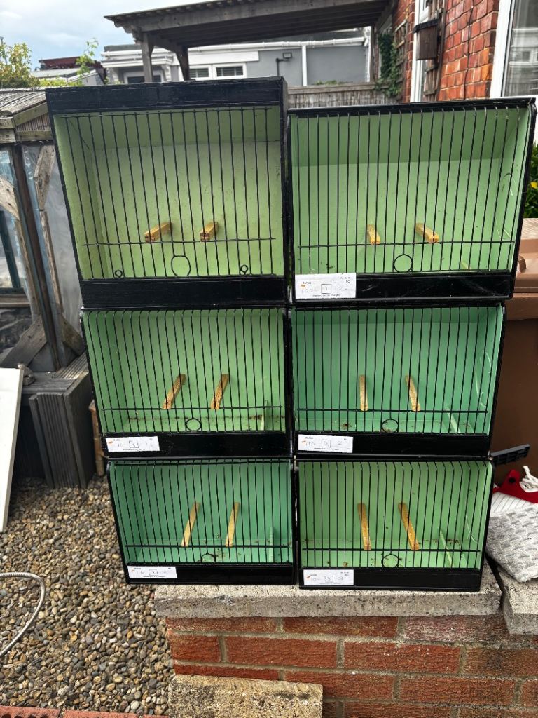 Show cages 