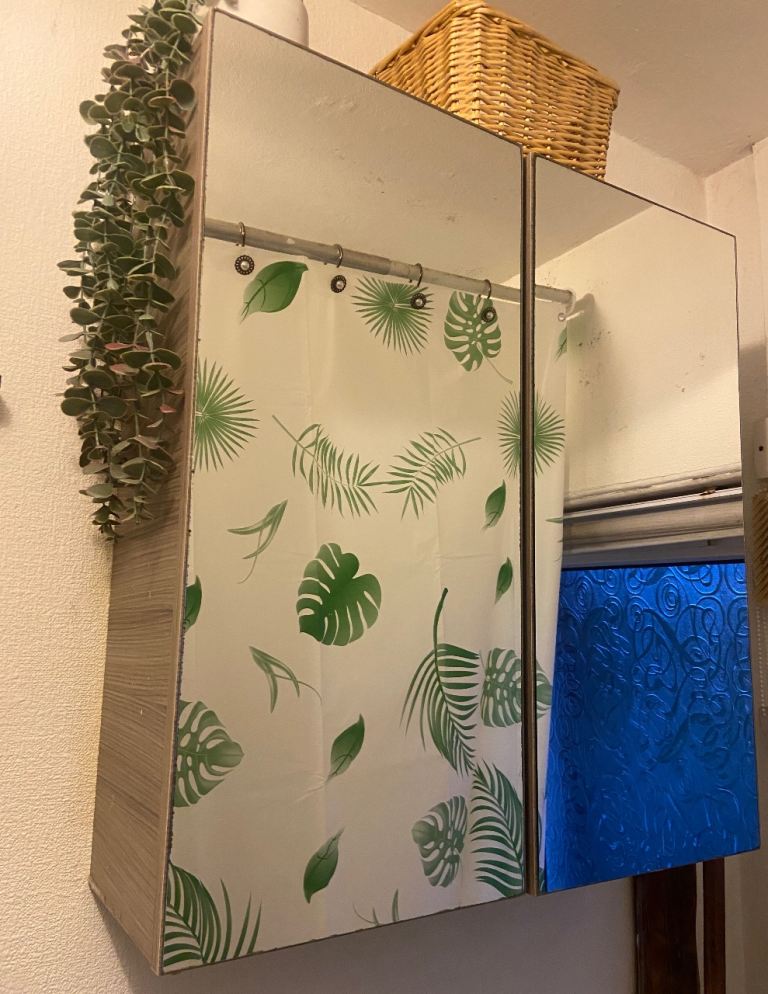 Bathroom Wall Cabinet