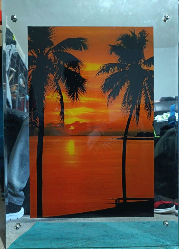 Light up PalmTree/Beach Scene Mirror Picture 