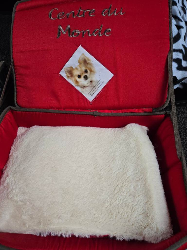 Dog/ cat bed 
