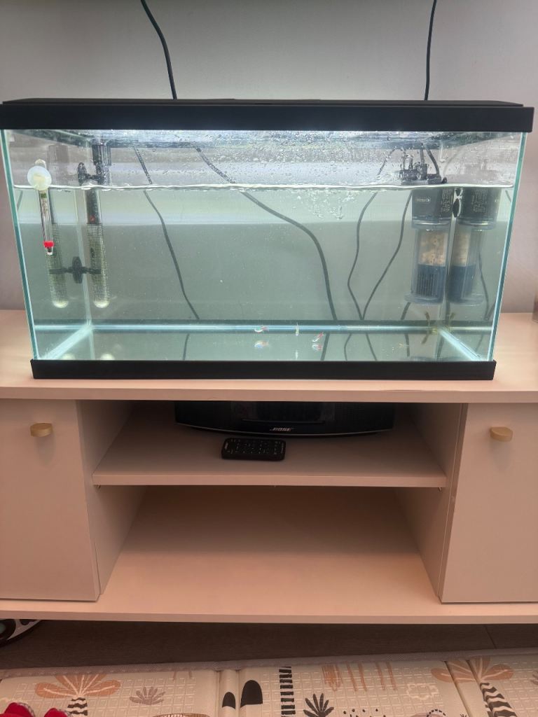 54 litre tropical fish tank 