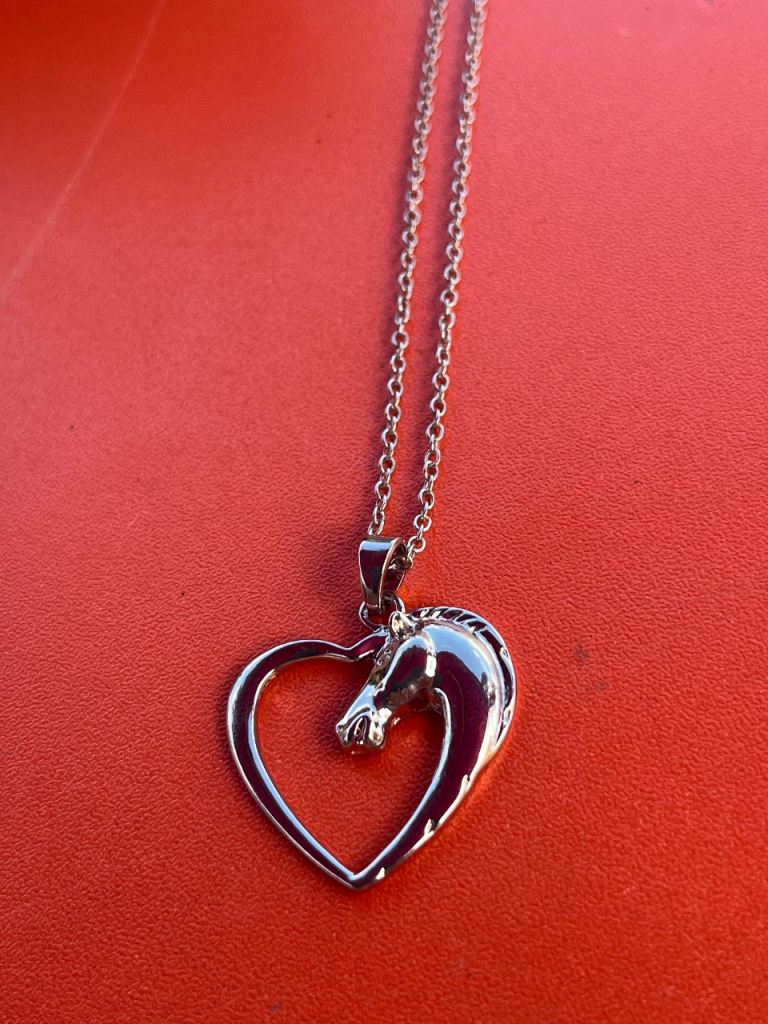 Horse head necklace £4. New 