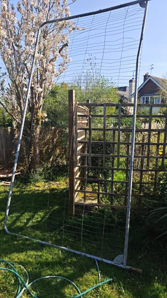 Builders Fences x 5 - Free - Pickup only
