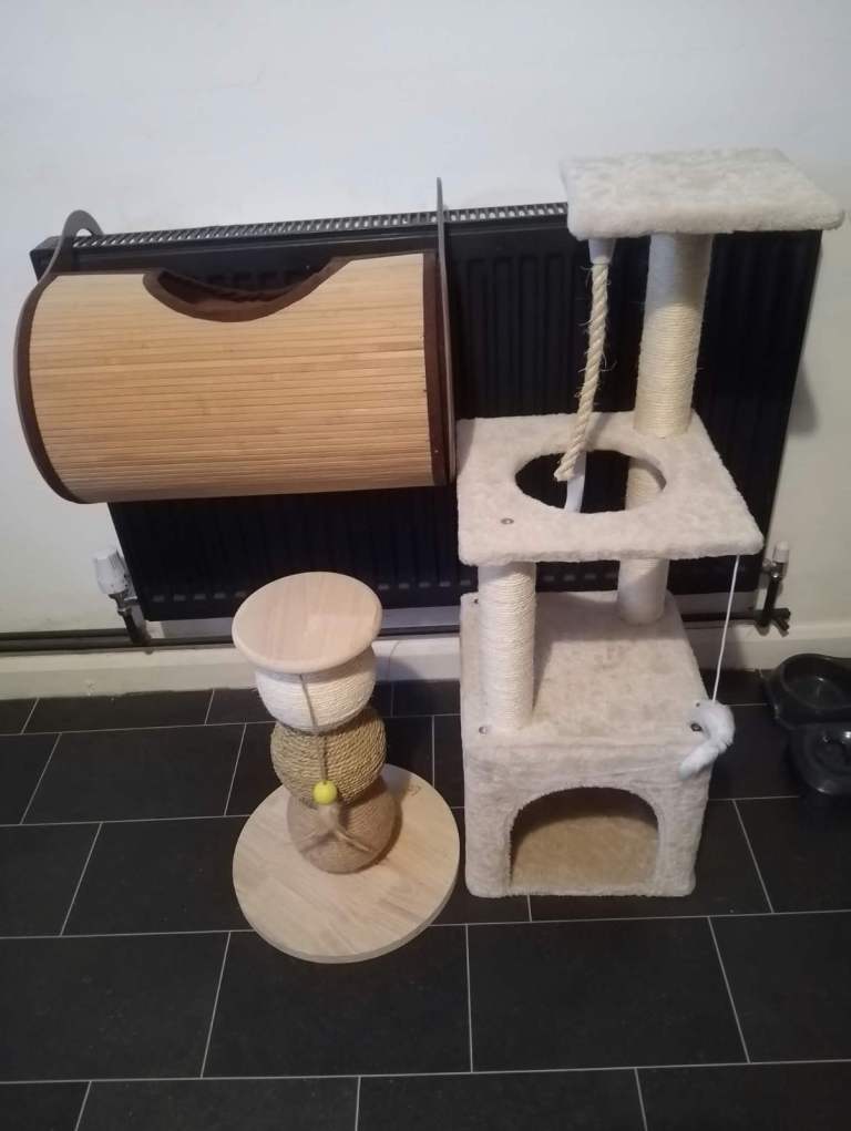 Cat accessories 