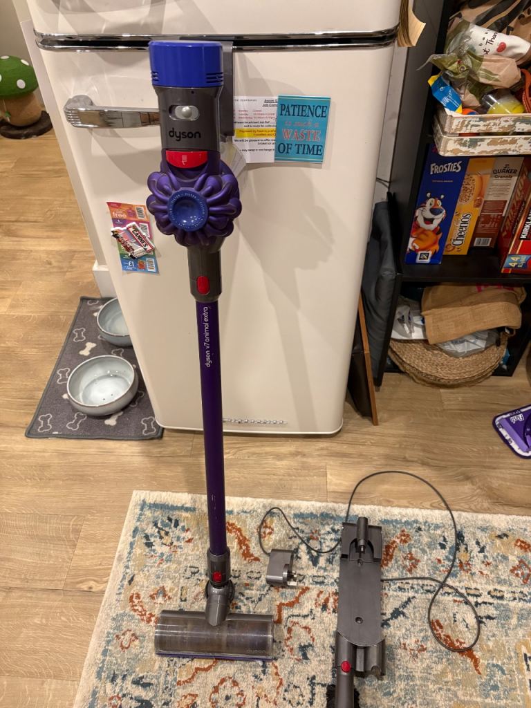 2 year old Dyson v7 Animal Extra