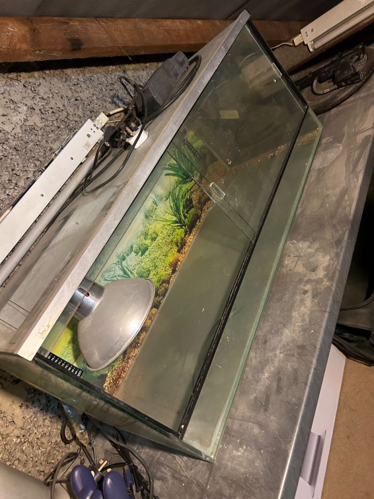 Gecko Tank