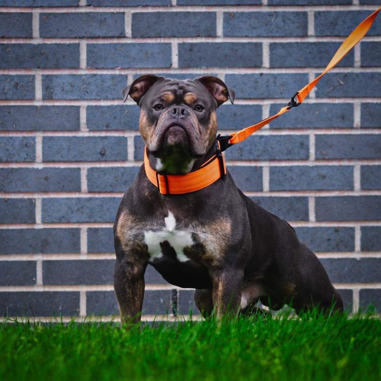 looking for new home 🤍