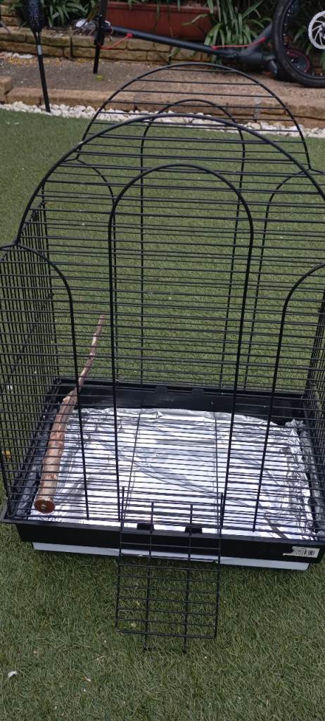 Black metal wire birdcage